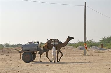 01 PKW-Reise_Bikaner-Jaisalmer_DSC2892_b_H600